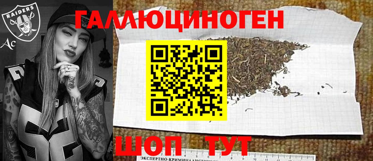 Рассказово  Псилоцибиновые грибы MAGIC MUSHROOMS  Вход с VPN 