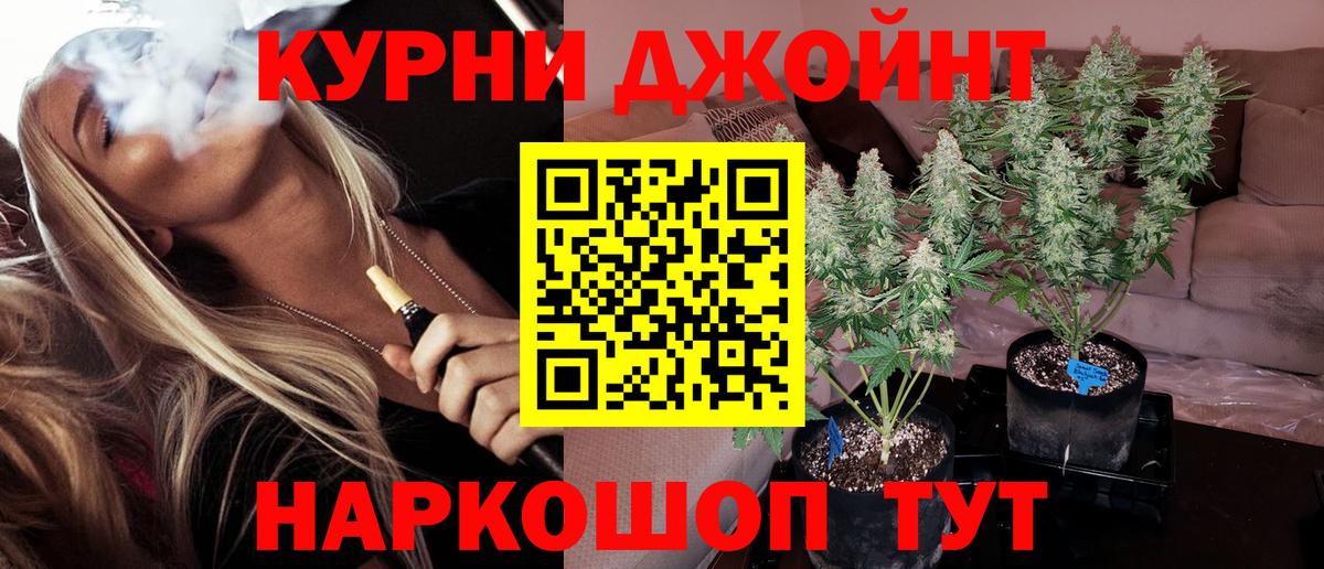 Конопля гибрид Рассказово